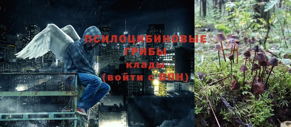 СК Дмитриев