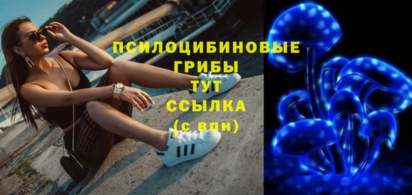 СК Дмитриев
