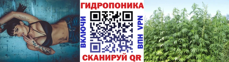 Марихуана индика  Купить закладки  Искитим 